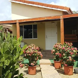 Apartment Bubali, Palm Beach